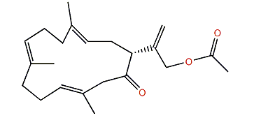 16-Acetyl-sinulariol D